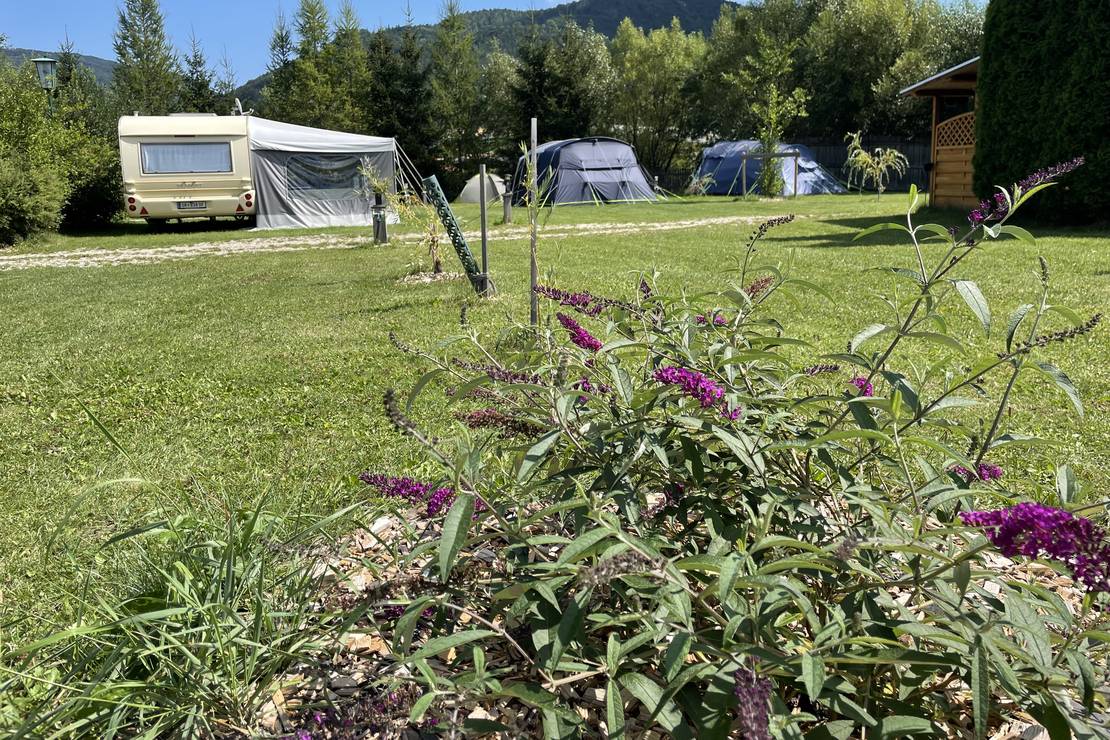 Kohlhofmühl Camping 4