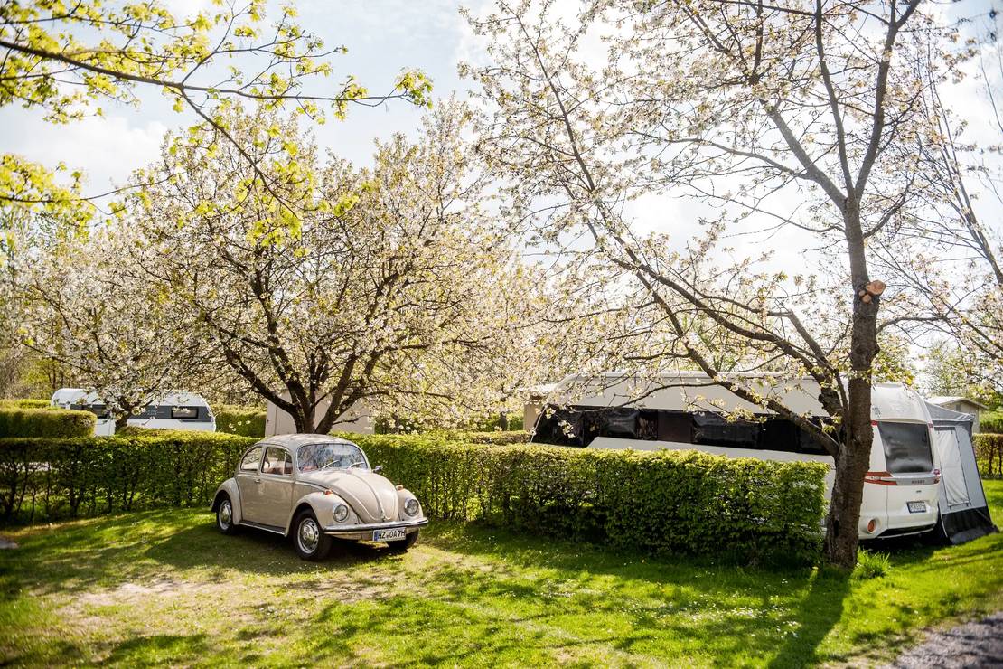 Panorama Camping Dankerode / Harz 8