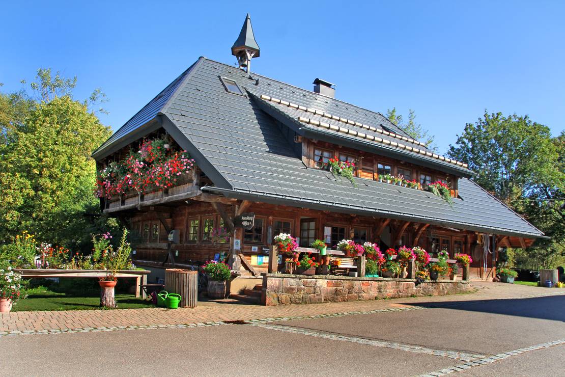 Kur-Camping Kreuzhof 10