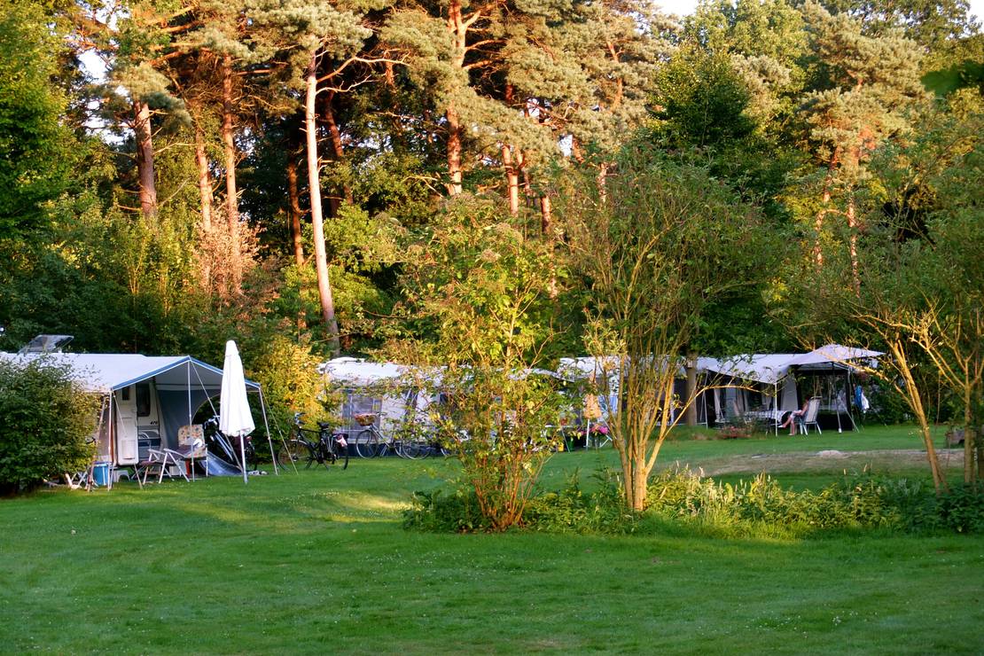 Landgoed Börkerheide 4