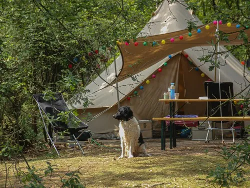 Landgoedcamping Het Meuleman 4