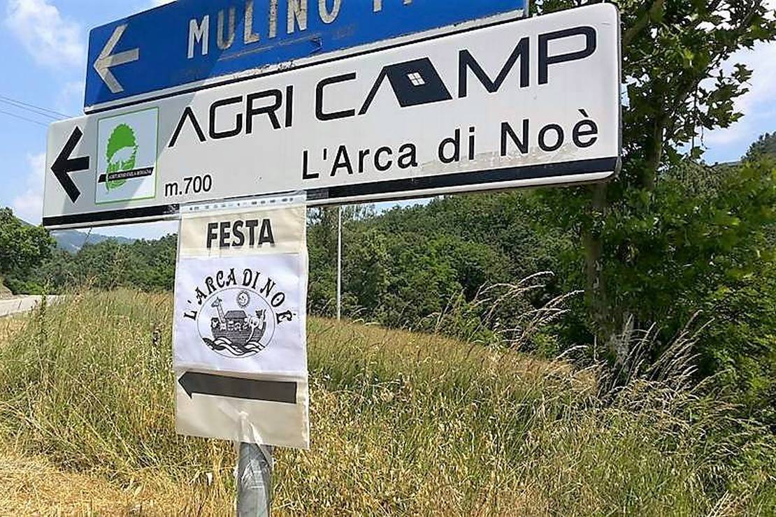 L'Arca di Noé Agricamp 4