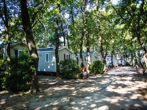 Le Bois Des Ecureuils 7