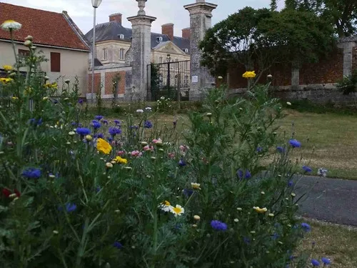 Le château de Bertangles 6