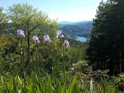 Le Dorier, camping naturiste associatif 5