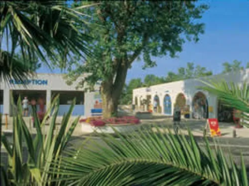 Le Mediterranée Plage 4