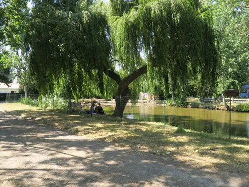 Le Parc De La Greve 5