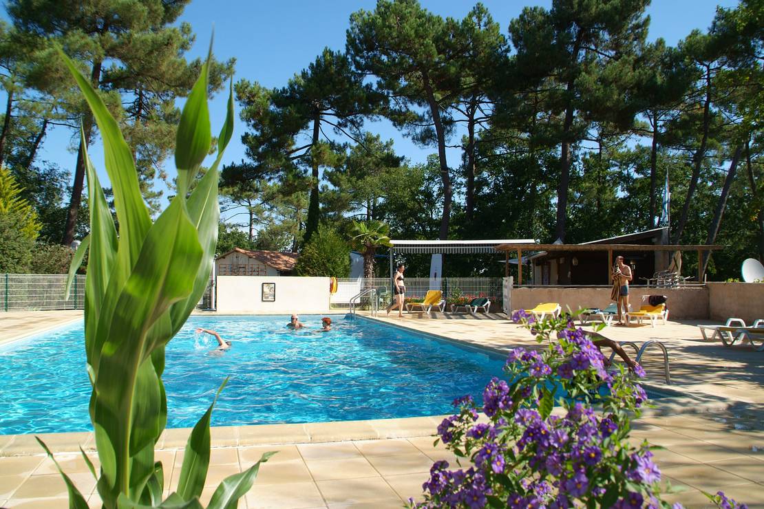 Kamp Les Pins De La Coubre u PoitouCharentes camping.info Kamp Les Pins De La Coubre u PoitouCharentes camping.info