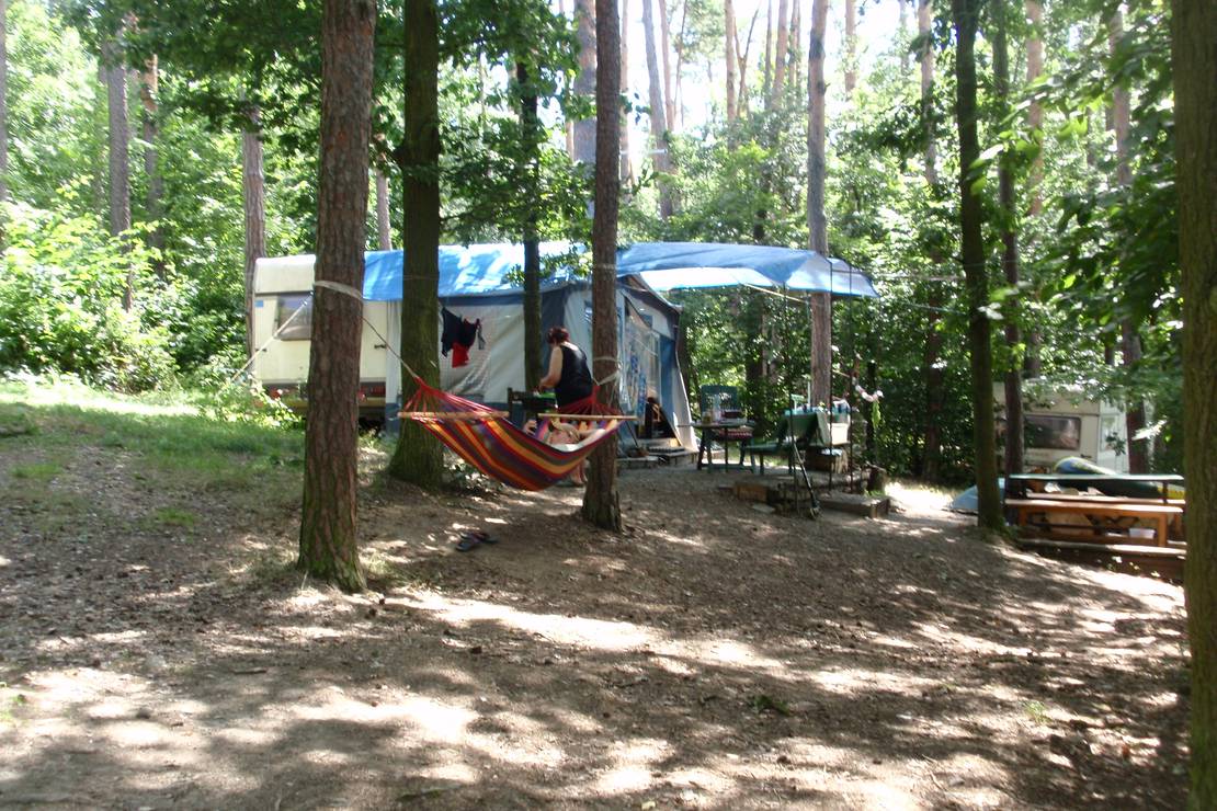The Woodland Campsite Nebřich 4