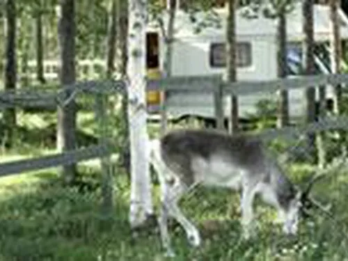 Levilehto Apartments 4