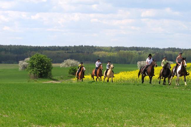 Paardrijden voor jong en oud, beginner of gevorderd.
