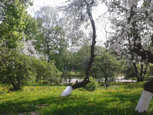 Lindenhof Rybinski-Wagner 3