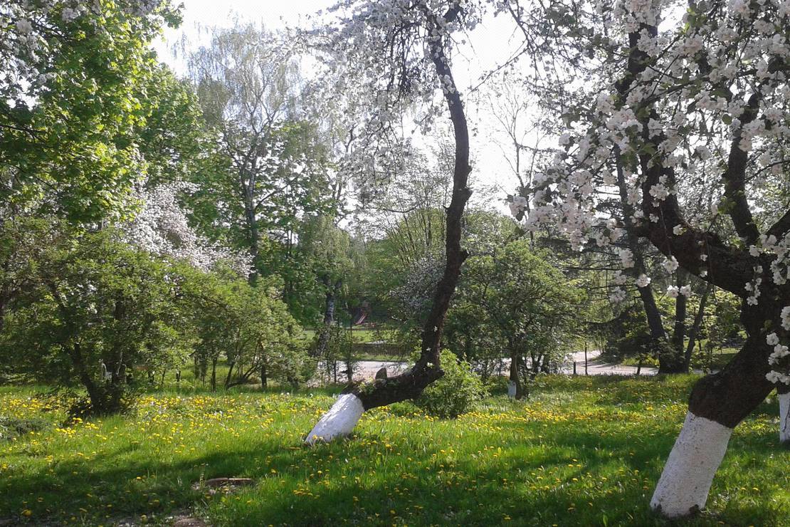 Lindenhof Rybinski-Wagner 4