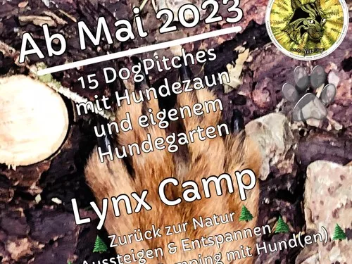 Lynx Camp 4