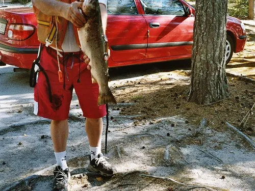 Mäntyrannan Lomakylä Oy 2