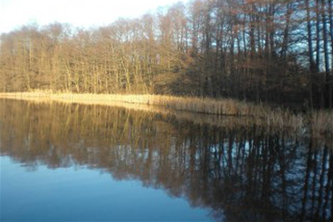 Märchencampingplatz " Zesch " 4