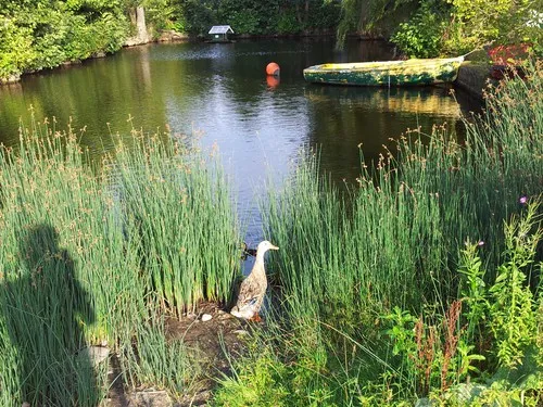 Mini-Camping am Mittelhof Höper 5