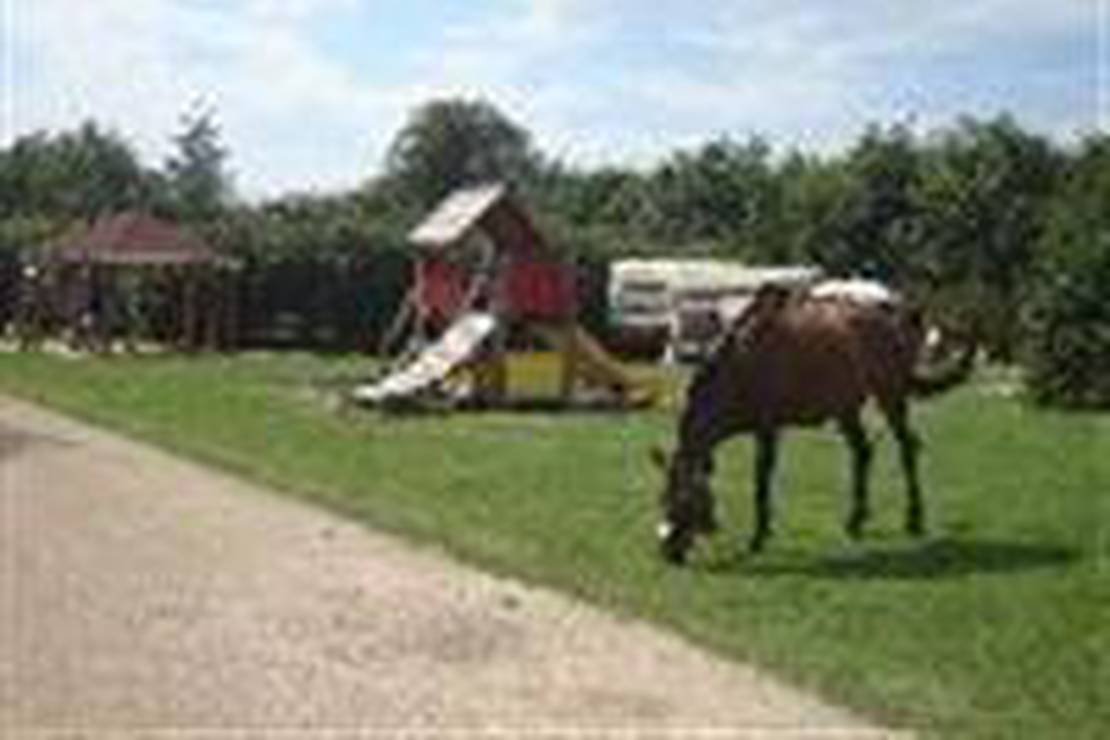 Mini Camping De Dankbare 4