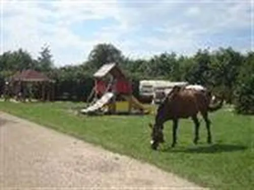 Mini Camping De Dankbare 3