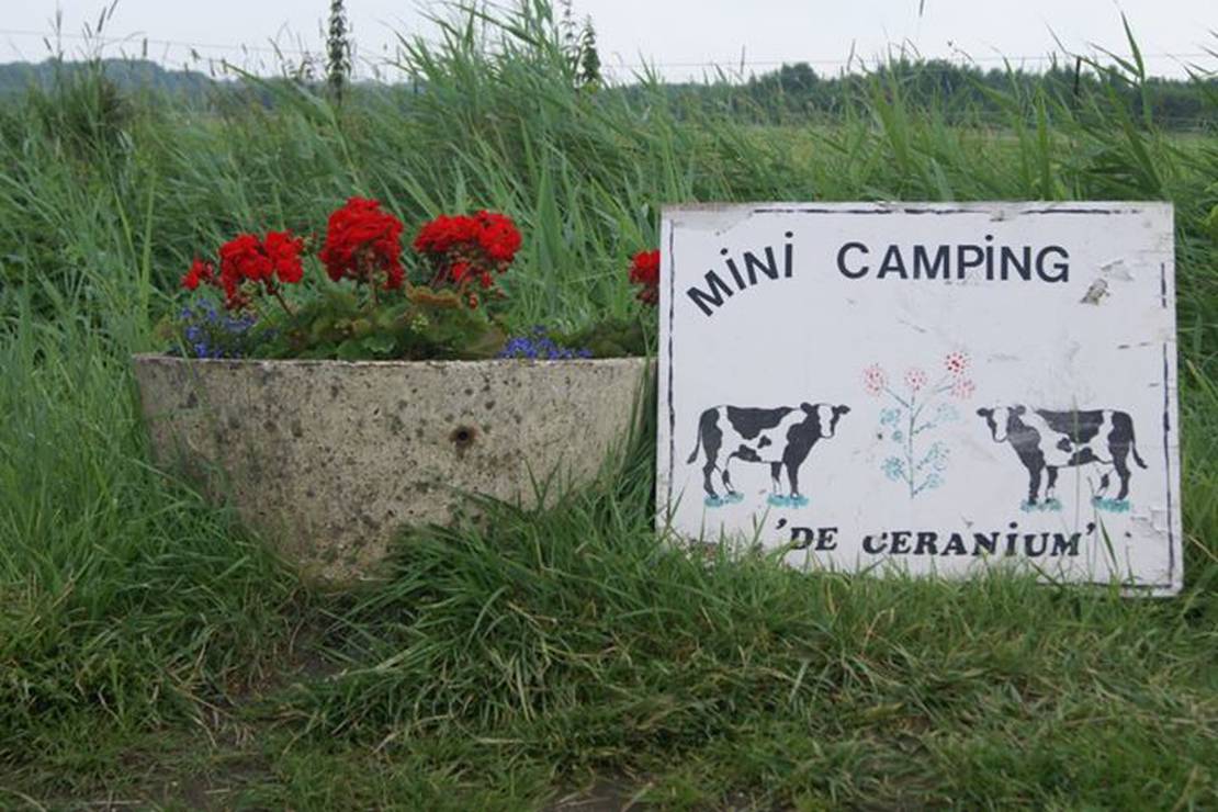 Mini Camping De Geranium 3