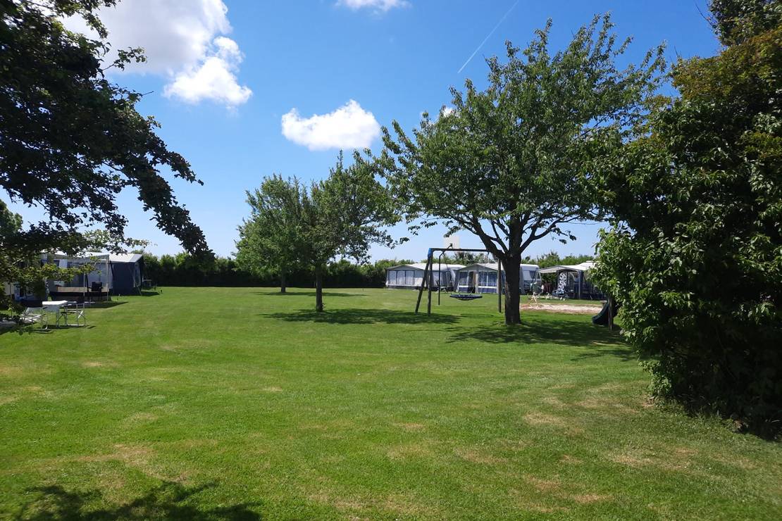 Mini-Camping De Olmen 5