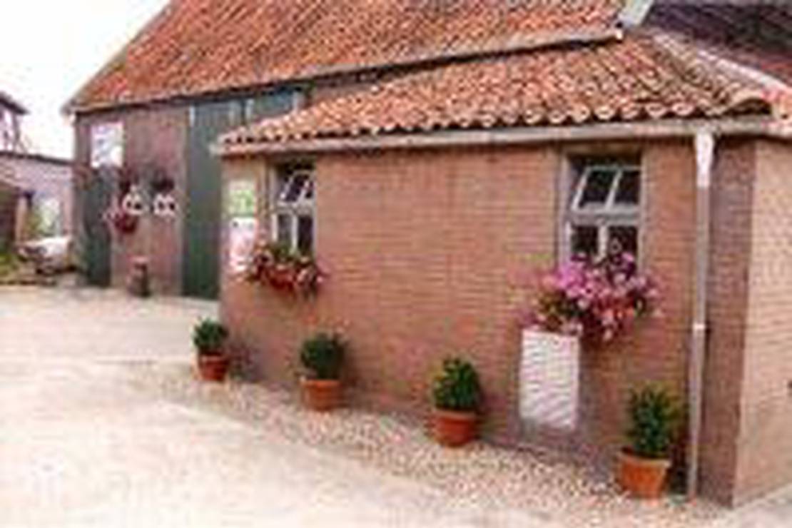 Mini Camping Dorpszicht 4