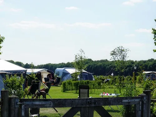 Mini-Camping Petit013 5