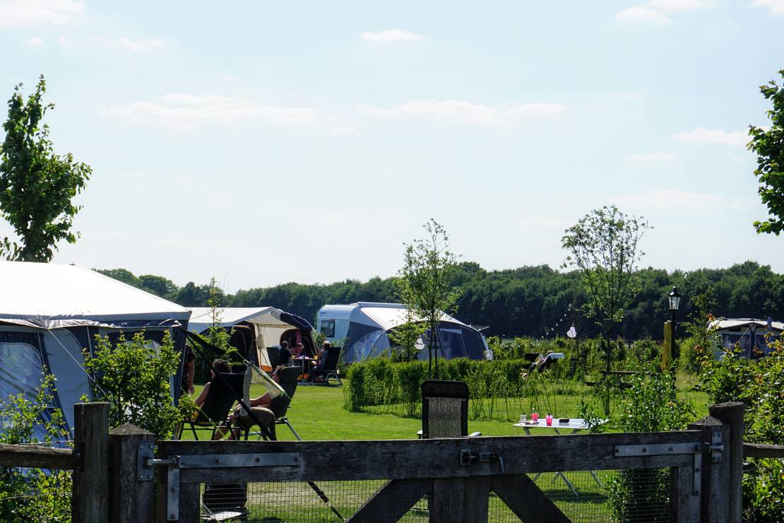 Mini-Camping Petit013 6