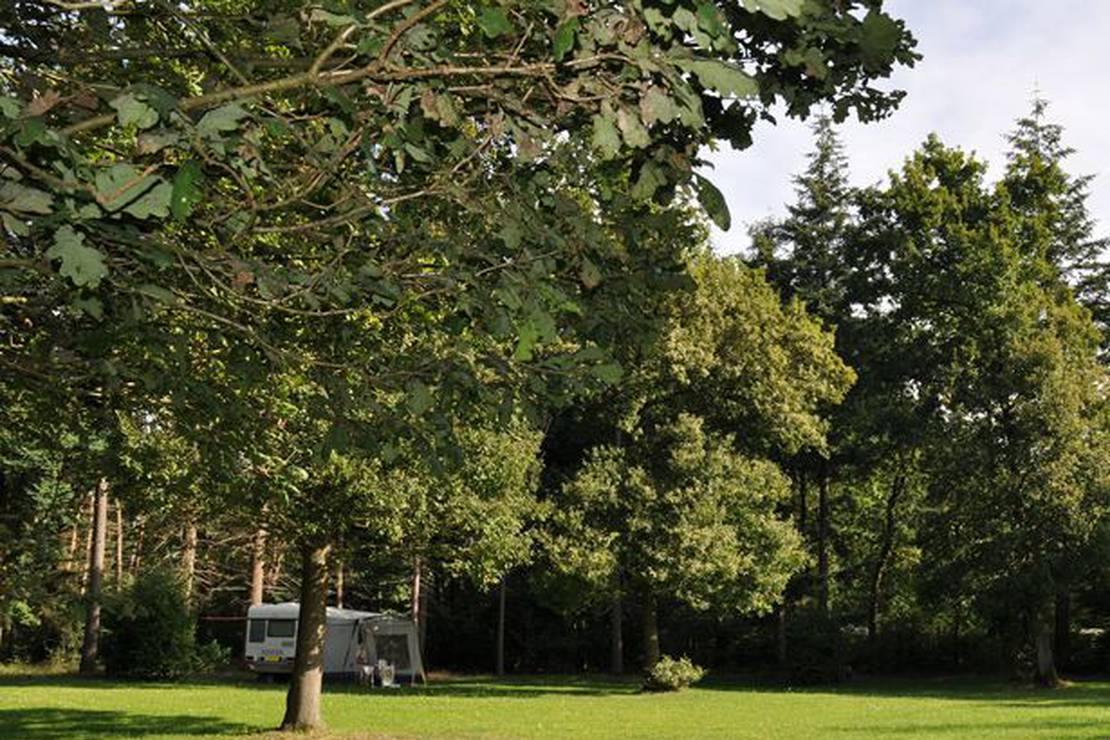 Mini-camping ’s Koonings Veld 4