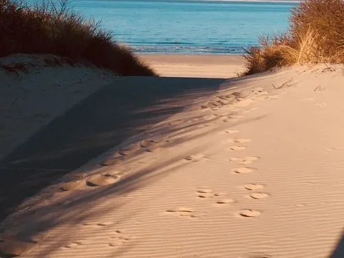 Mini-Camping Schorre 8