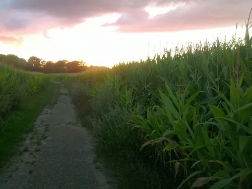 mini camping Twekkelo 5