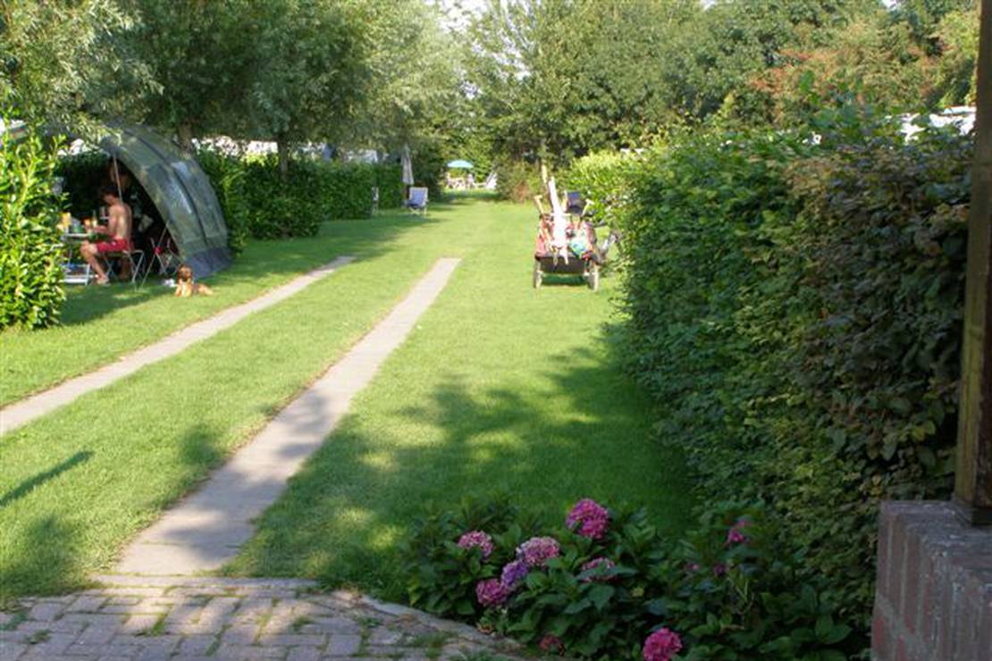 Mini Camping Zeeuws Hof 5