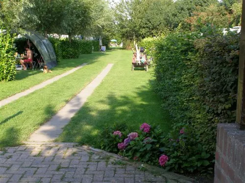 Mini Camping Zeeuws Hof 4