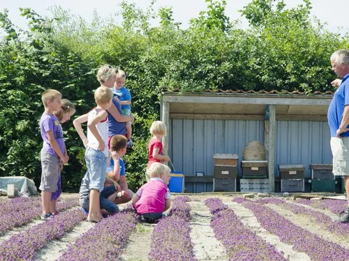 Minicamping Boogaard 6