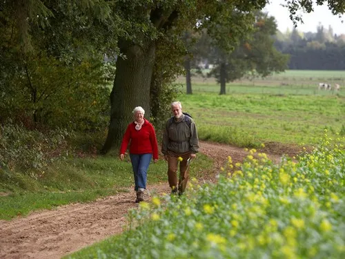 Minicamping de Hartjens 6