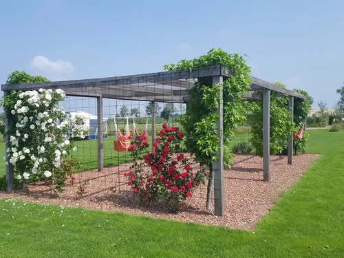 Minicamping De Somerweij 3