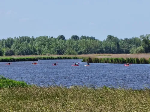 Minicamping De Stropielekker 5