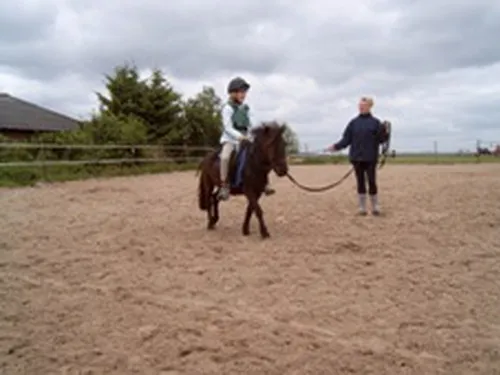 Minicamping de Wolvenhoeve 5