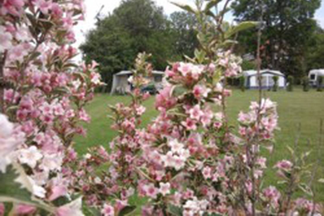 Minicamping St. Jan 3