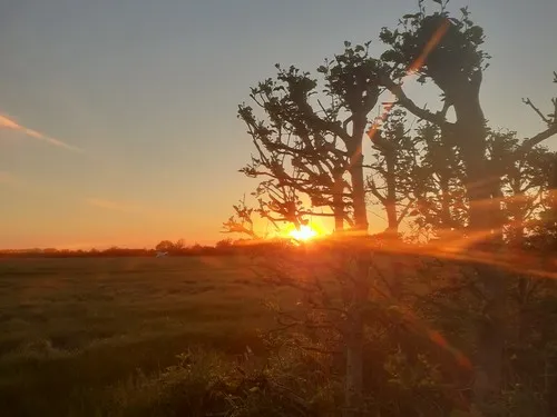 Minicamping Sterrenbos 5