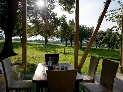 MiO-Minicamping Ottendorf 7