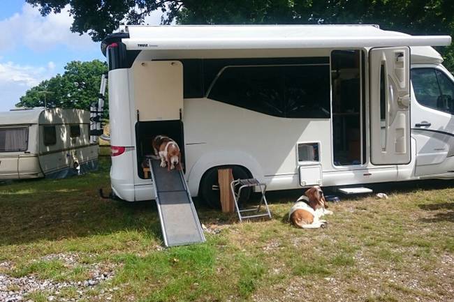 Møn Strandcamping - Ulvshale image 2