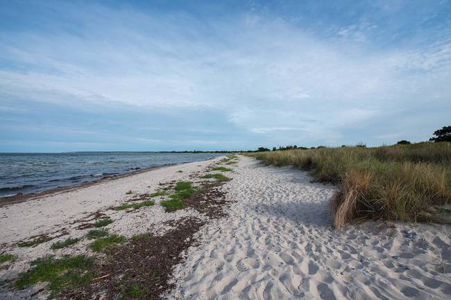 Strand