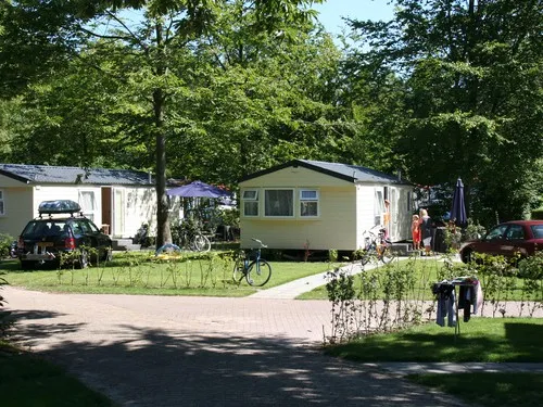Molecaten Park Bosbad Hoeven 3