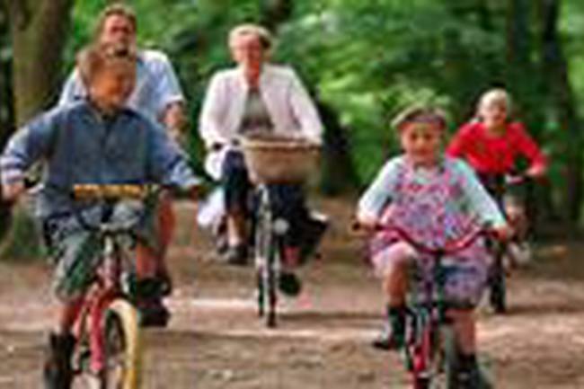 Molecaten Park De Leemkule image 3