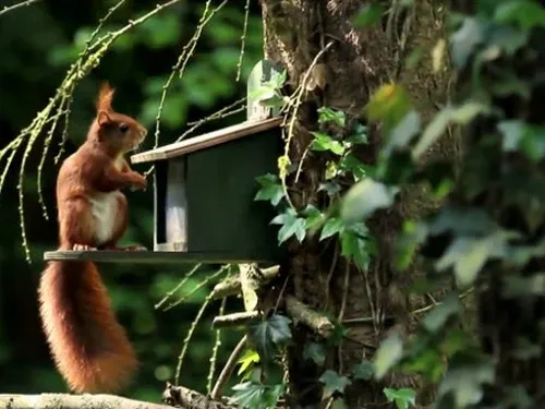 Molecaten Park Landgoed Molecaten 5