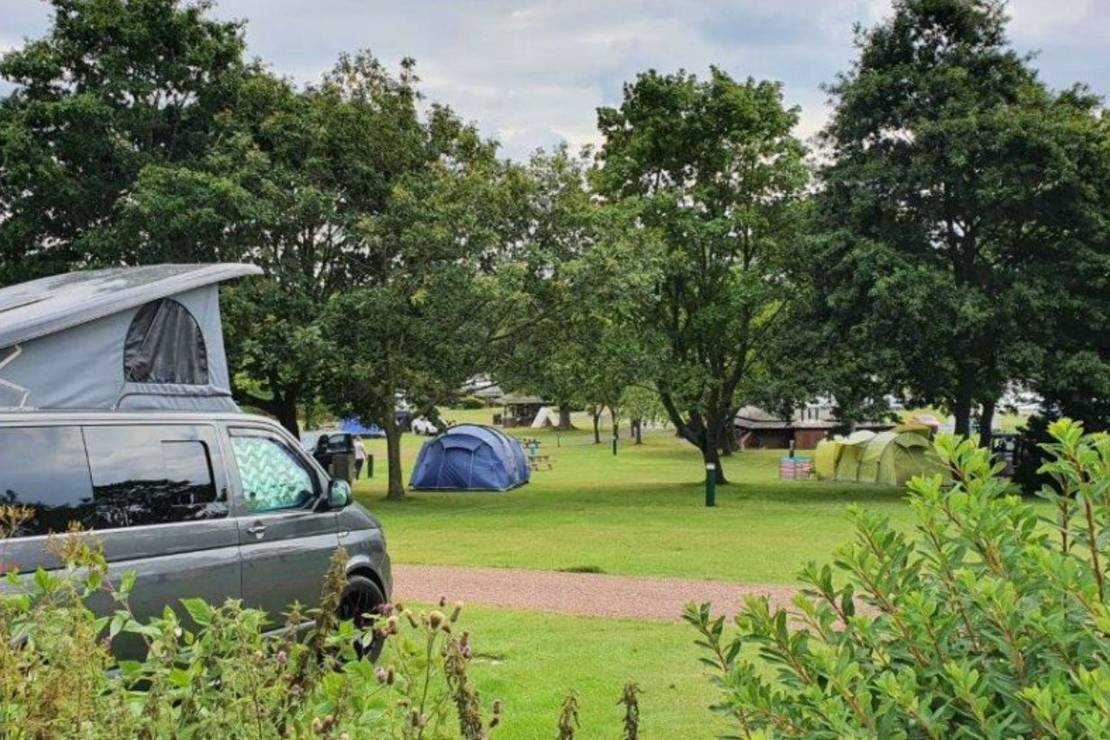Are dogs allowed at the campsite Mortonhall Caravan Park?