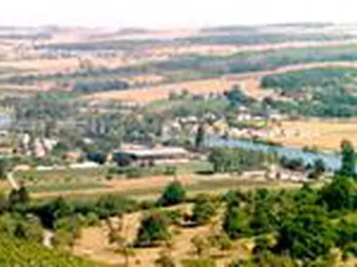 Mosel-Camping-Dreiländereck 4