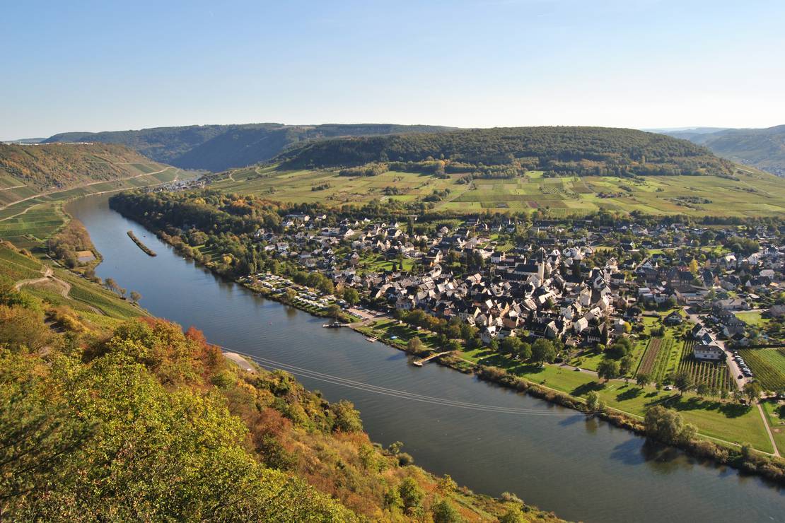 Moselcampingplatz Pünderich 6