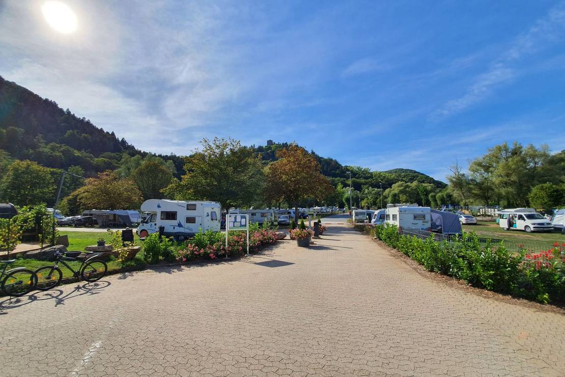 Moselcampingplatz Alf 6